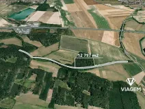 Prodej podílu lesa, Sokoleč, 1999 m2