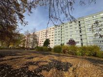 Pronájem bytu 2+1, Ústí nad Labem, Ladova, 61 m2