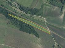 Prodej pole, Novosedly, 9816 m2