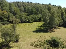 Dražba pole, Strašín, 33898 m2