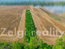 Prodej sadu/vinice, Zaječí, 8494 m2