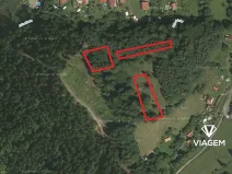 Prodej lesa, Mikulůvka, 3813 m2