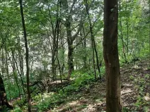 Prodej pozemku, Dolní Zimoř, 1049 m2