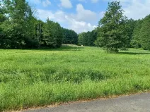 Dražba lesa, Česká Kamenice, 14221 m2