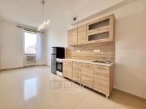 Pronájem bytu 1+kk, České Budějovice - České Budějovice 4, Dobrovodská, 19 m2