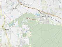 Dražba lesa, Vracov, 2231 m2