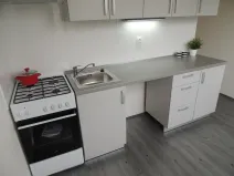 Pronájem bytu 1+1, Ostrava - Moravská Ostrava, Petra Křičky, 29 m2