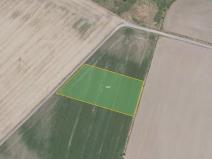 Prodej pole, Čachovice, 10046 m2