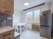 Pronájem bytu 1+1, Chomutov, Písečná, 42 m2