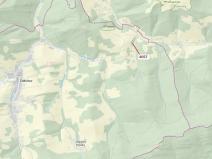 Dražba lesa, Zděchov, 435 m2