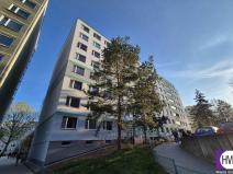 Pronájem bytu 1+kk, Praha, Přecechtělova, 16 m2