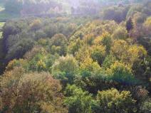 Prodej pozemku, Hrádek nad Nisou - Dolní Sedlo, 543 m2