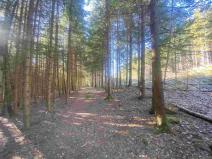 Prodej pozemku, Železná Ruda - Špičák, 1644 m2