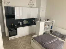Pronájem bytu 1+kk, Brno - Zábrdovice, Vlhká, 27 m2