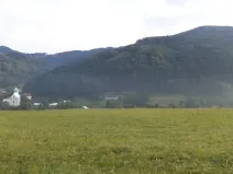 Dražba louky, Rajnochovice, 13124 m2