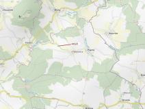 Dražba lesa, Psárov, 1251 m2