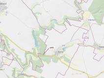 Dražba lesa, Mladoňovice, 1427 m2