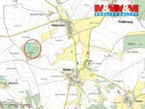 Prodej lesa, Hlohovčice, 10323 m2