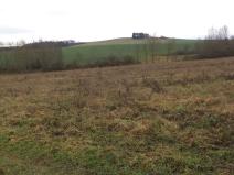 Prodej pozemku, Srby, 1445 m2