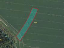 Prodej pole, Králíky, 5334 m2