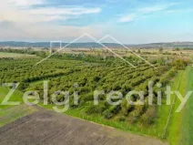 Prodej sadu/vinice, Rakvice, 210277 m2