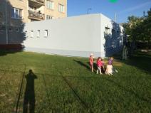 Pronájem bytu 1+1, Klatovy, jateční, 50 m2