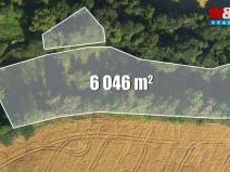 Prodej louky, Bílá - Hradčany, 6046 m2