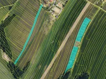 Prodej pole, Maršov, 31902 m2