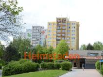 Pronájem bytu 1+kk, Orlová - Lutyně, Osvobození, 28 m2