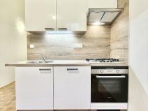 Pronájem bytu 1+1, Praha - Vinohrady, Mánesova, 48 m2