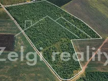 Prodej sadu/vinice, Kralupy nad Vltavou, 246558 m2