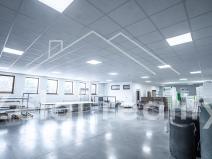 Pronájem obchodního prostoru, Bojkovice, 302 m2