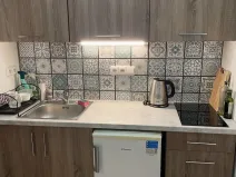 Pronájem bytu 2+kk, Olomouc - Hodolany, Březinova, 52 m2