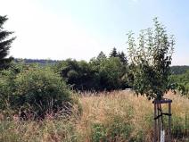 Dražba pozemku pro bydlení, Kostelec nad Černými lesy, Zahradní, 1788 m2