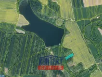 Prodej lesa, Sepekov, 2934 m2