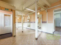 Prodej atypického bytu, Karlovy Vary, Rohová, 120 m2