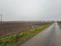 Prodej pozemku pro bydlení, Cholina, 1325 m2