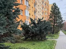 Prodej bytu 2+1, Jirkov, Na Borku, 62 m2