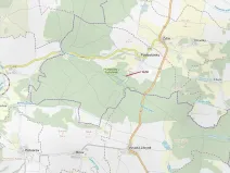 Dražba lesa, Jesenice, 2895 m2