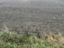 Prodej pole, Troubky, 33891 m2