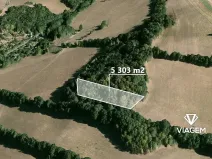 Prodej lesa, Tvrdkov, 5303 m2