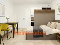 Pronájem bytu 1+kk, Plzeň - Jižní Předměstí, Magisterská, 41 m2