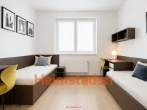 Pronájem bytu 1+kk, Plzeň - Jižní Předměstí, Magisterská, 28 m2