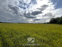 Prodej louky, Bakov nad Jizerou, 3309 m2