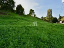 Prodej pozemku pro bydlení, Police nad Metují, U Lesovny, 6515 m2