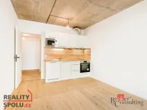 Pronájem bytu 1+kk, Brno - Zábrdovice, Bratislavská, 28 m2