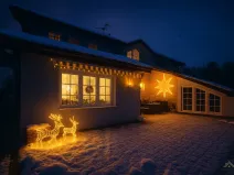 Prodej rodinného domu, Horní Bludovice - Prostřední Bludovice, 320 m2