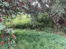 Prodej pozemku, Staňkovice, 438 m2