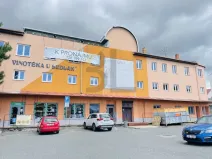 Pronájem obchodního prostoru, Bučovice, Legionářská, 539 m2