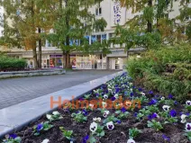 Pronájem obchodního prostoru, Havířov - Město, nám. Republiky, 72 m2